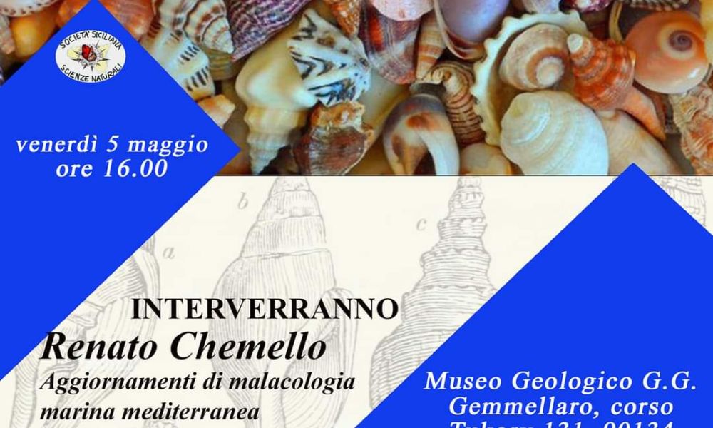 Palermo and Malacology