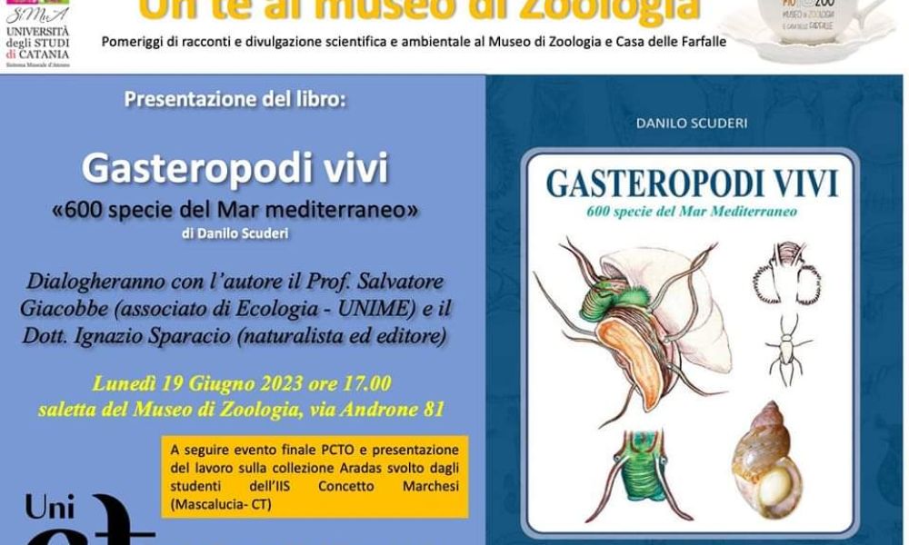 Live Gastropods - 600 species from the Mediterranean Sea