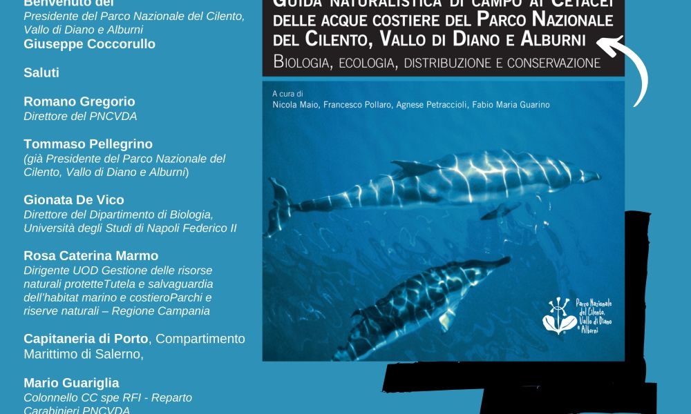 Naturalistic Field Guide to coastal waters' Cetaceans of Parco Nazionale del Cilento, Vallo di Diano and Alburni