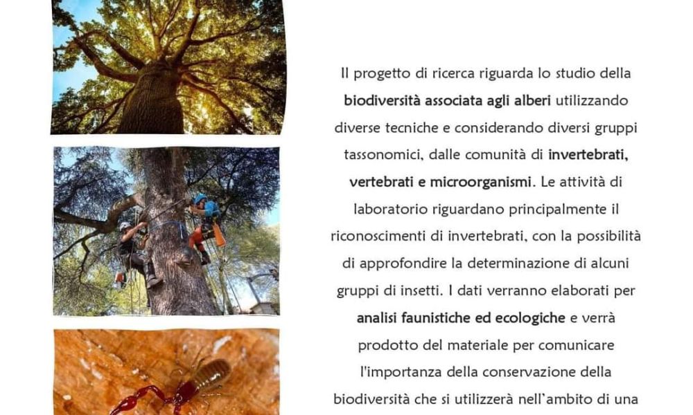Project Habitat Trees: Home for Biodiversity