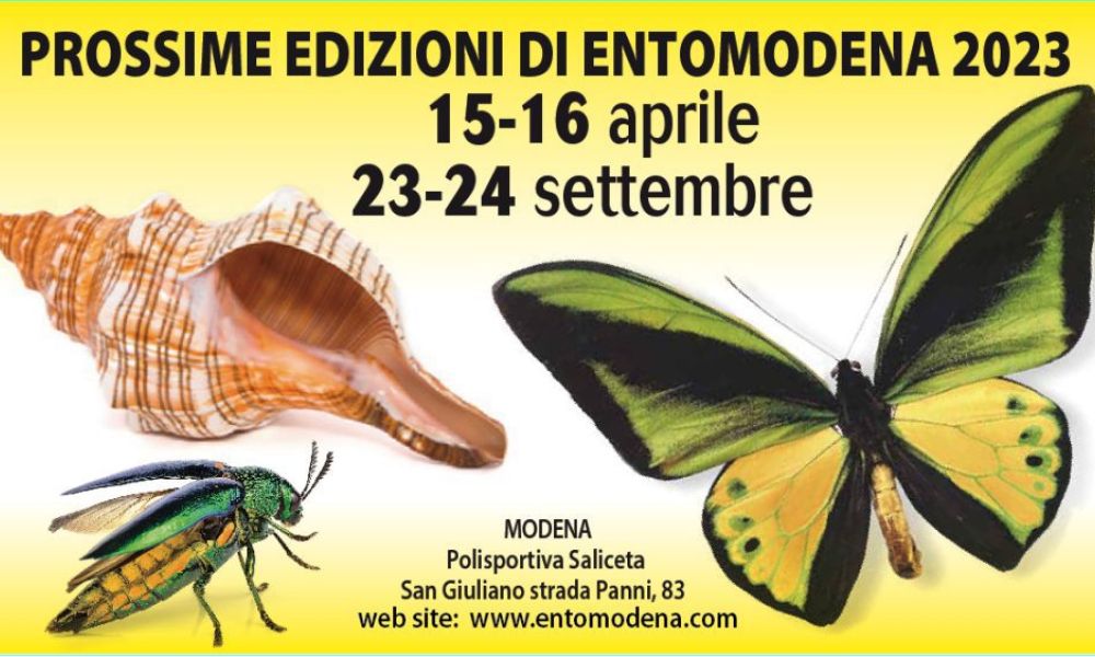 Next Editions of Entomodena 2023